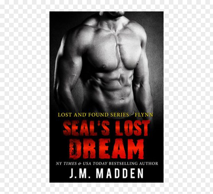 Book Embattled Seal SEAL’s Lost Dream (Contemporary Military) Home SEAL's Christmas Minds PNG