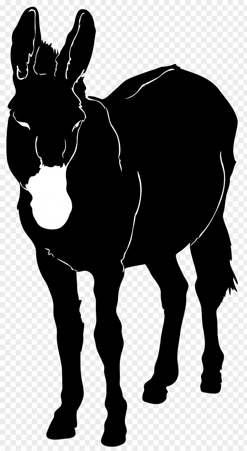 Donkey Silhouette Clip Art PNG