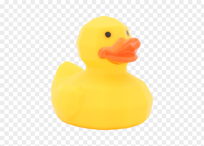 Duck Material PNG