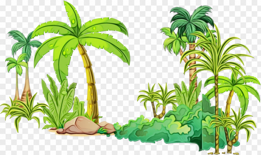 Palm Trees PNG