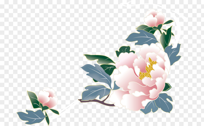 Peony Flower Decoration Vector Border Moutan Download PNG
