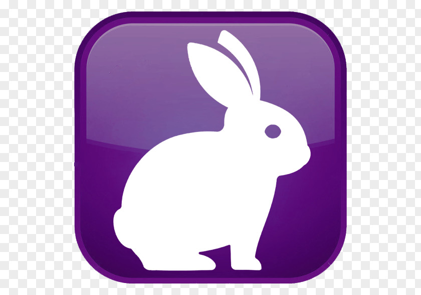 Rabbit Domestic Hare Easter Bunny PNG