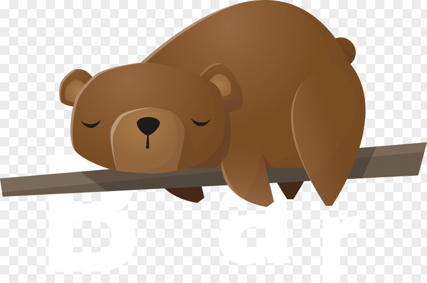 Brown Bear Vector PNG