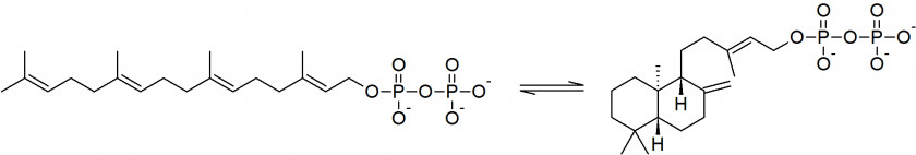 Isomerase Intramolecular Reaction Molecule Carotene PNG