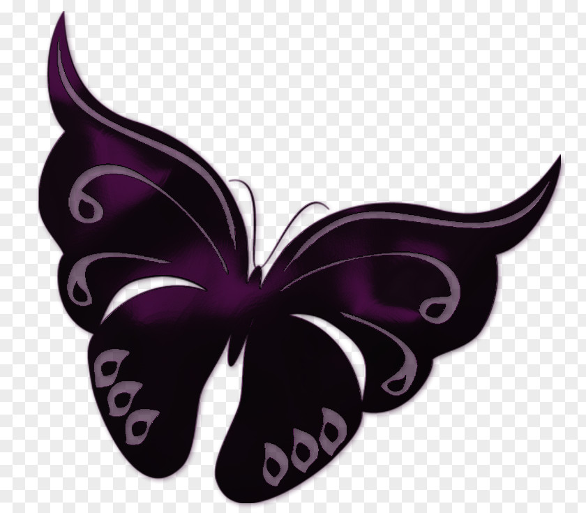 Plant Pollinator Violet Butterfly Purple Moths And Butterflies Wing PNG