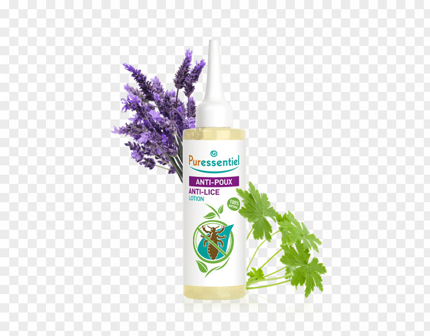 Shampoo Puressentiel Anti-Lice Lotion Comb Primate Body Lice PNG