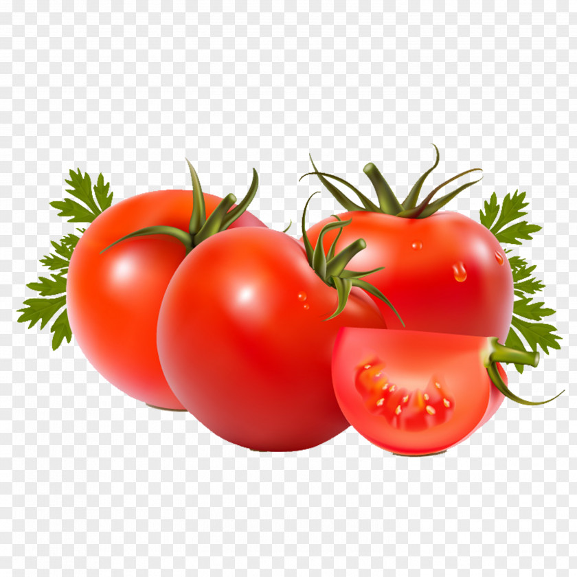 Tomato Roma Vegetable Beefsteak Fruit Food PNG
