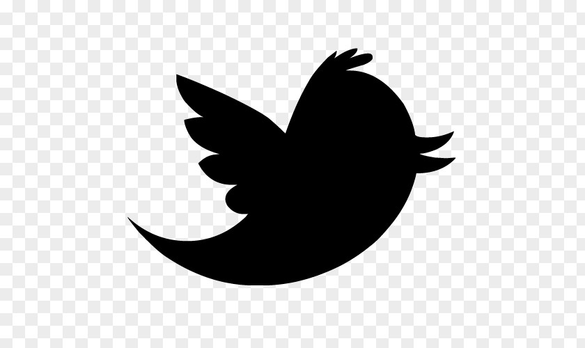 Twitter Transparent Background Bird Logo Euclidean Vector Icon PNG