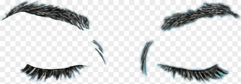 Eye Eyelash Extensions PNG