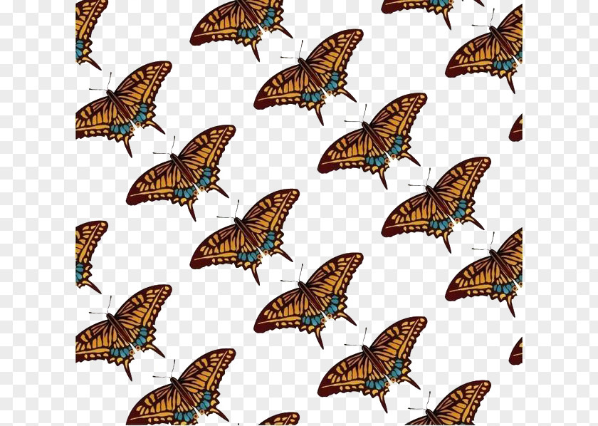 Jane Butterfly Background Color Pens Monarch Moth Clip Art PNG