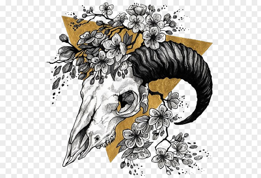 Skull And Flower Sketch Drawing Tattoo Illustration Sticker Art PNG