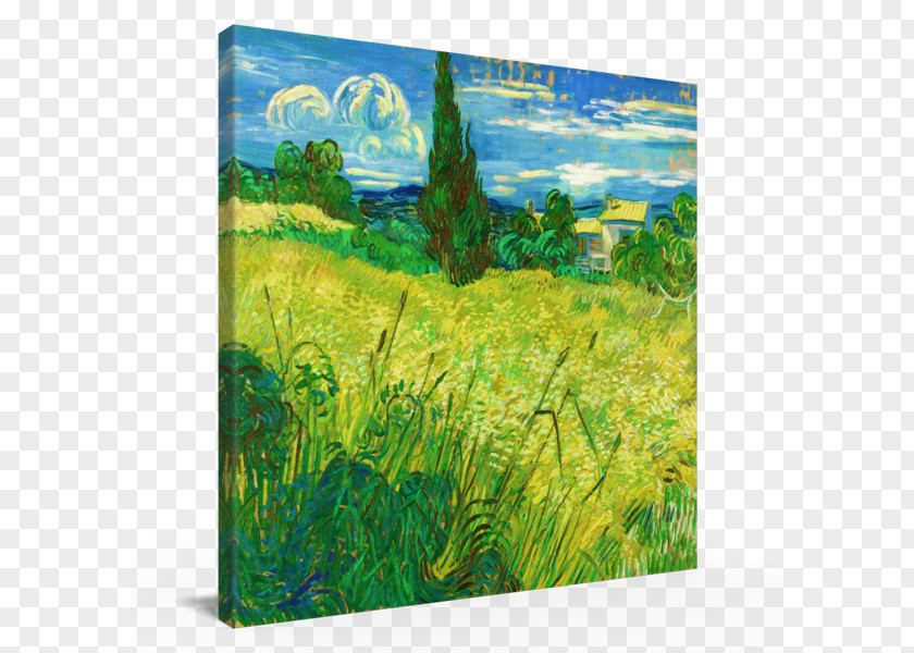 Van Gogh Watercolor Painting Green Wheat Field With Cypress Fields PNG