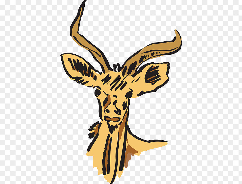 Animal Horns Giraffe Horn Clip Art PNG