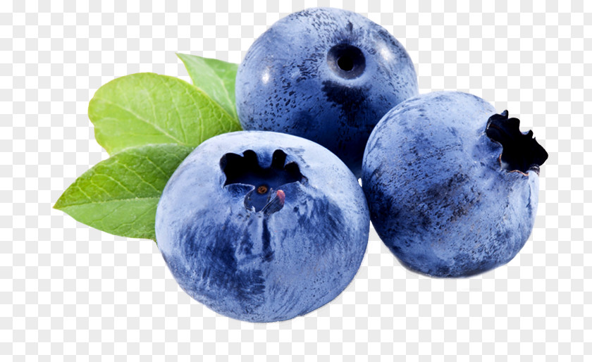 Blueberries Blueberry Skin Care Facial Moisturizer PNG