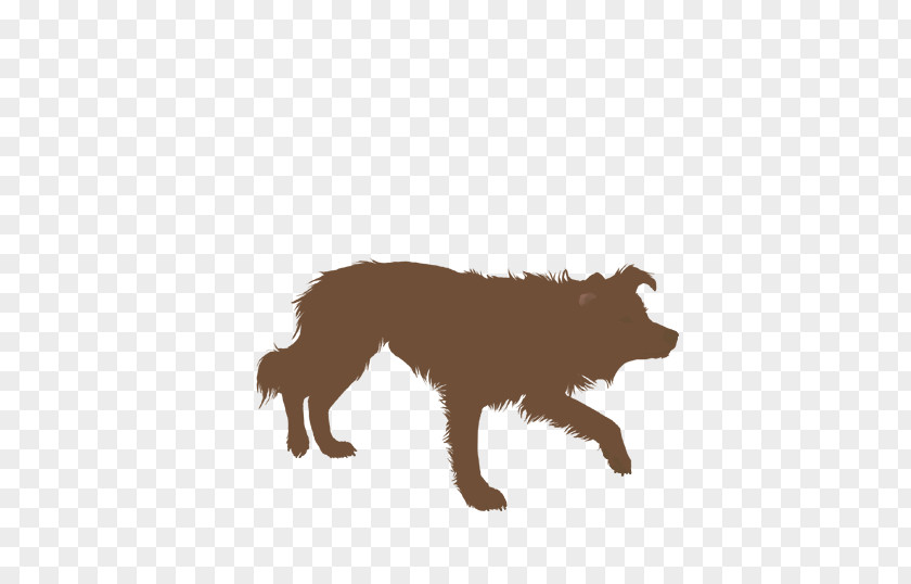 Bordercollie Border Collie Rough Dog Agility Silhouette PNG