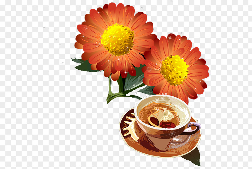 Chrysanthemum Transvaal Daisy Flower PNG