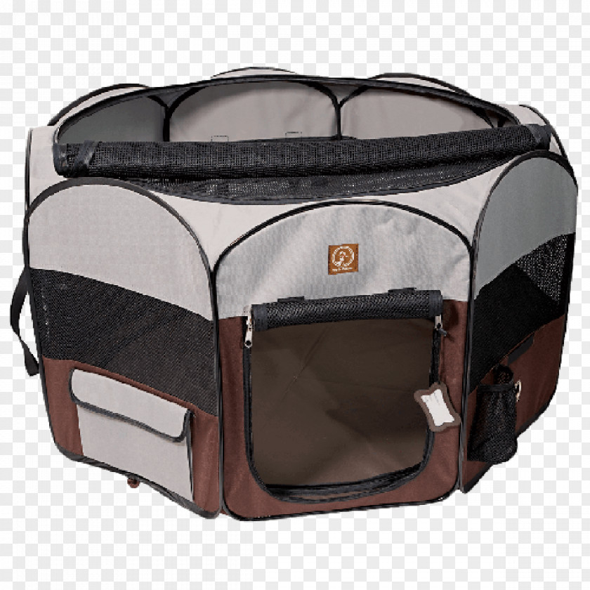 Dog Cat Pet Kennel Puppy PNG
