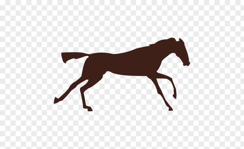 Sequntial Vector Horse Gait Canter And Gallop Foal PNG