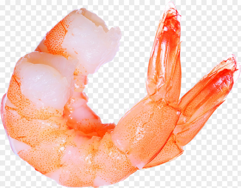 Shrimps Prawn Cocktail Shrimp Lobster Seafood PNG