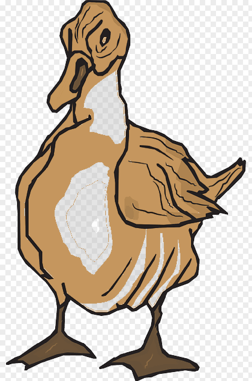 Brown Feathers Duck Clip Art Goose Vector Graphics PNG