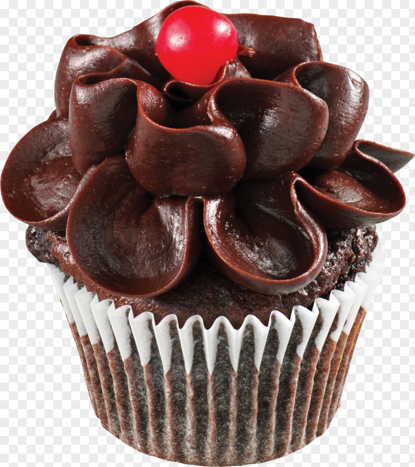 Chocolate Cake Cupcake Muffin Frosting & Icing Birthday PNG