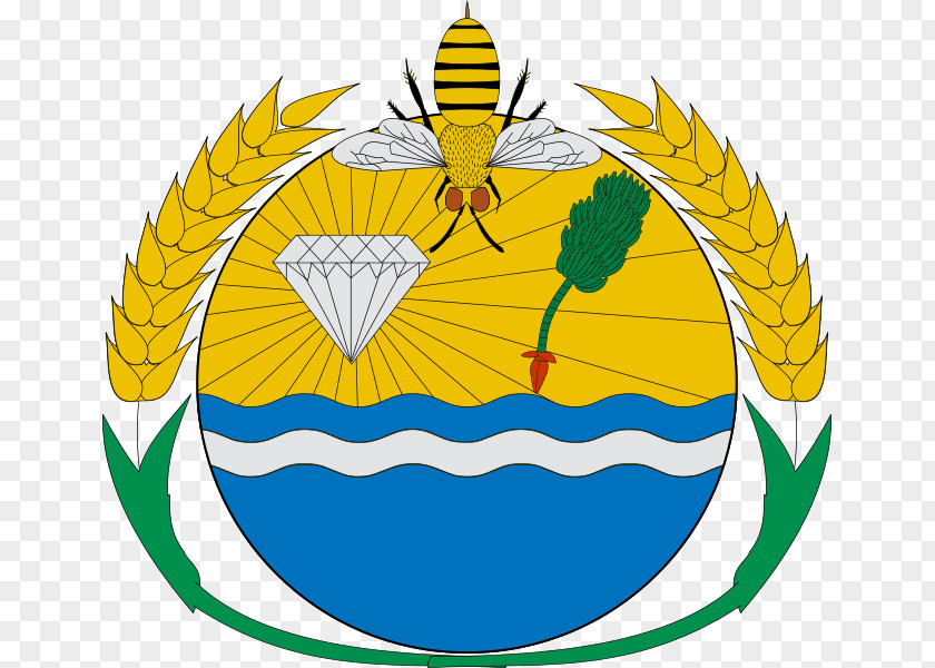 Flag Coat Of Arms Arapoema Bandeira Do Tocantins Wikimedia Commons PNG