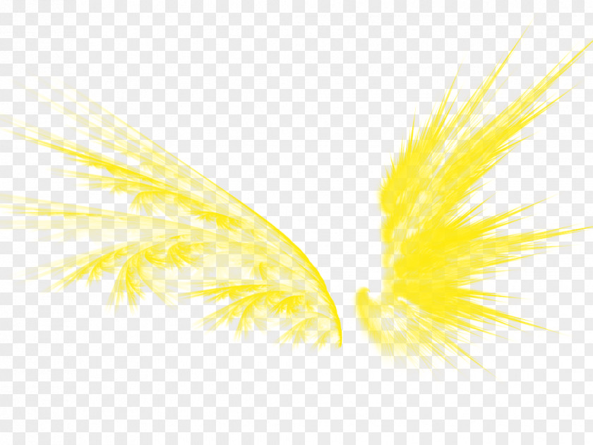 Golden Wings Graphic Design Yellow Pattern PNG