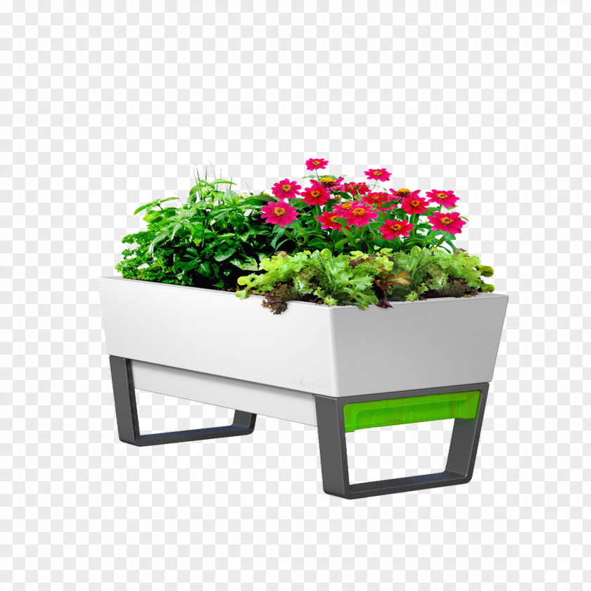 Plants Flower Garden Watering Can Planter Flowerpot Box PNG