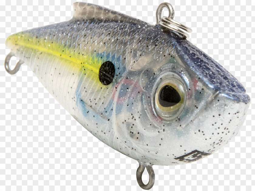 Sardine Spoon Lure Oily Fish Milkfish PNG