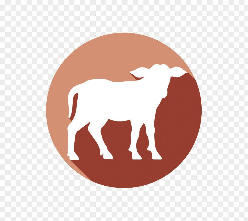 Cattle Sheep Goat Livestock Ox PNG