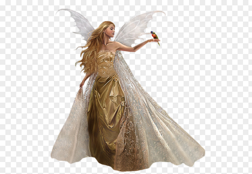 Fairy Angel Graphics Software PNG