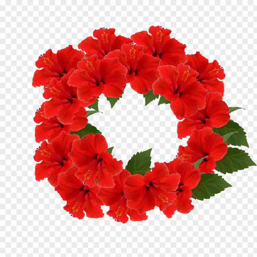 Flower Wreath Sticker Hibiscus Photography Clip Art PNG