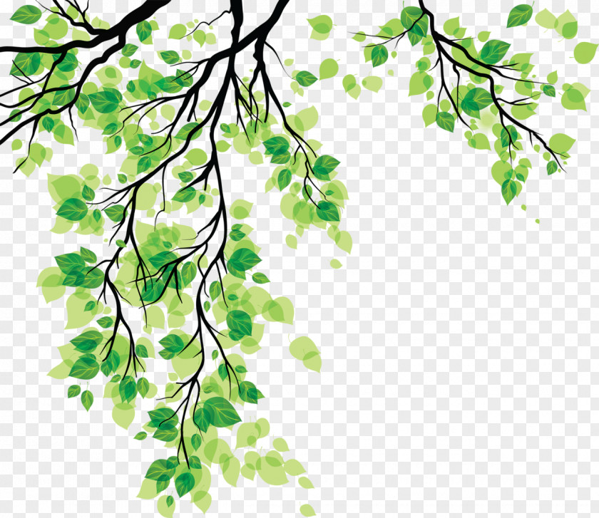 Green Leaves Leaf Clip Art PNG