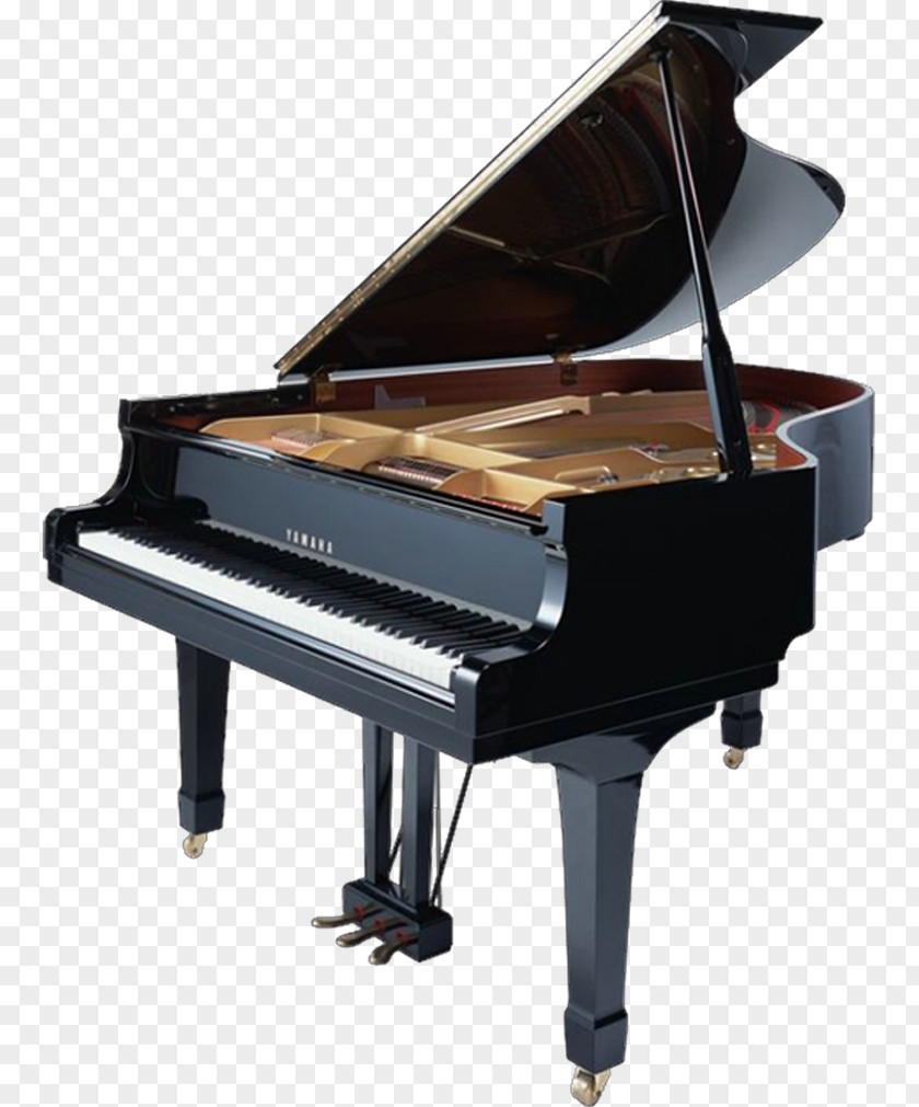 Piano Nampa Grand Musical Instrument Keyboard PNG