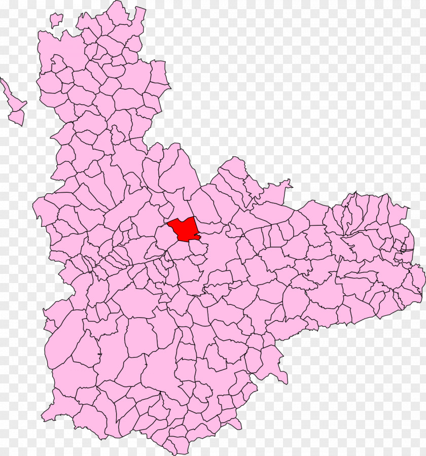 Adalia, Valladolid San Pelayo, El Carpio, Rueda, PNG
