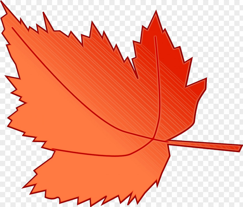 Coquelicot Plane Maple Leaf PNG