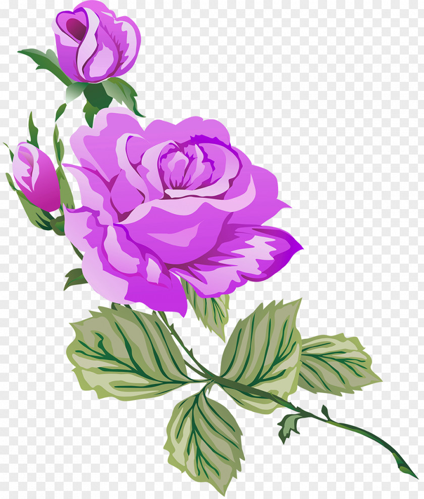 Lilac Garden Roses PNG