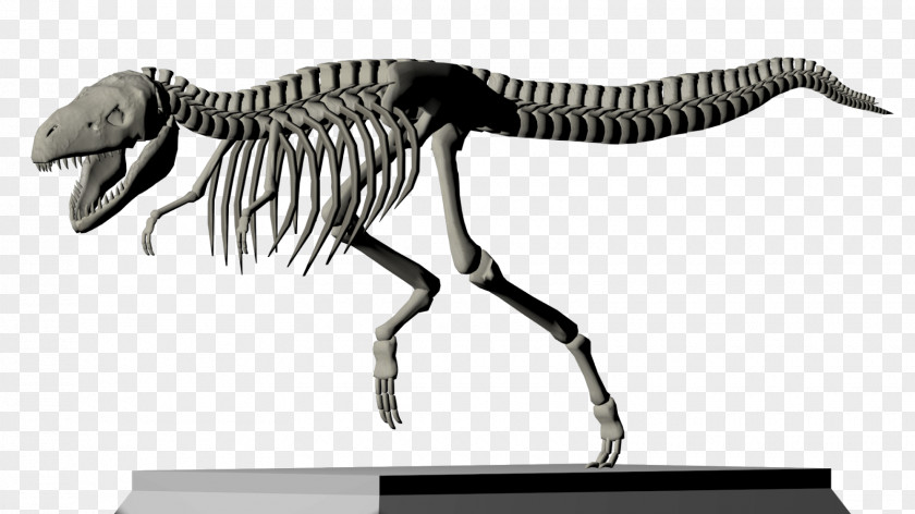 Tyrannosaurus Rex DeviantArt Art Museum PNG