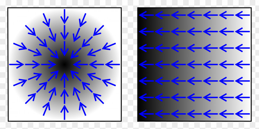 Gradient Image Derivative Vector Field Function PNG