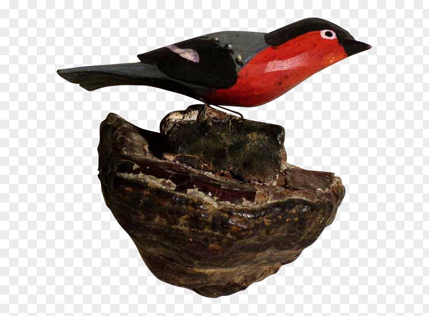 Hand-painted Birds Bird Beak PNG