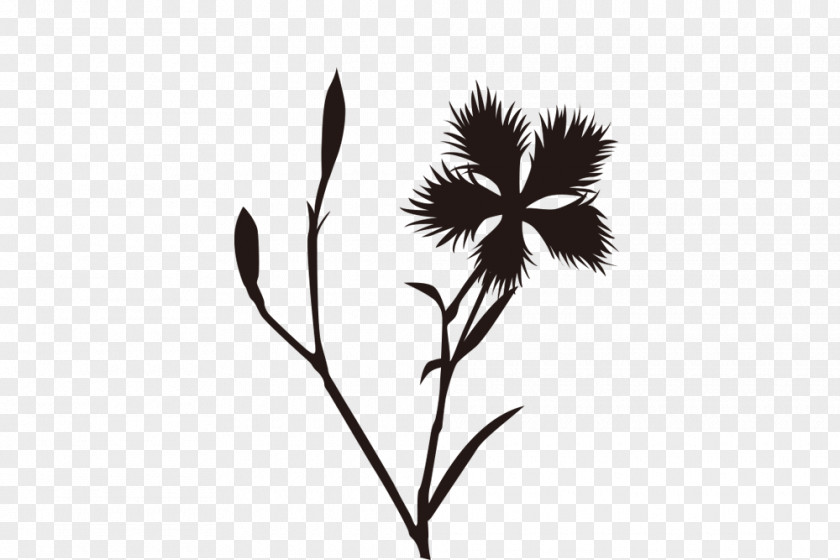 Leaf Twig Desktop Wallpaper Black Plant Stem PNG