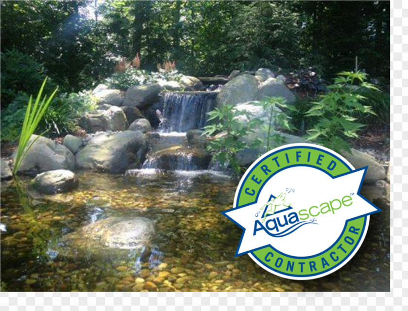 Outdoors Agencies Pond Water Feature Garden Aquascape, Inc. PNG