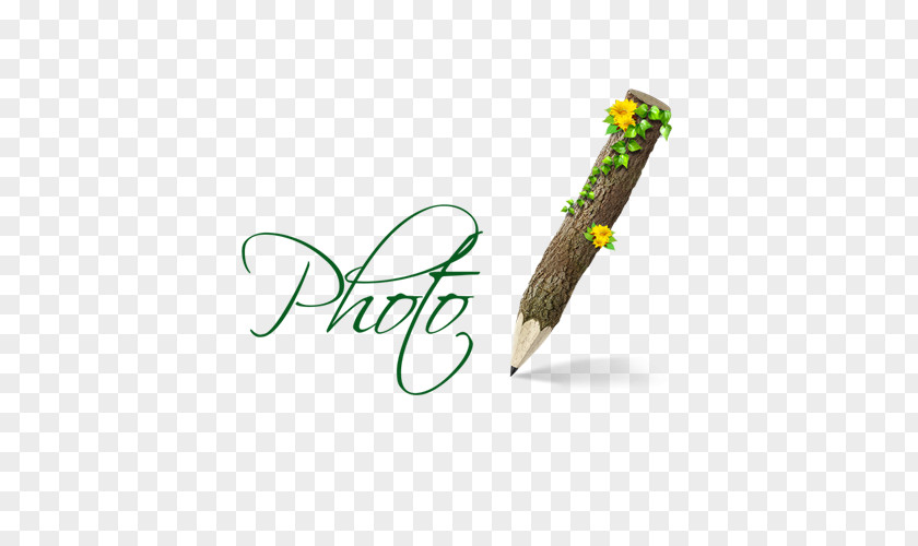 Pencil Logo Wood PNG