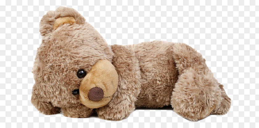 Teddy Bear Stock Photography Where's My Teddy? Desktop PNG bear photography , teddy forever friends clipart PNG