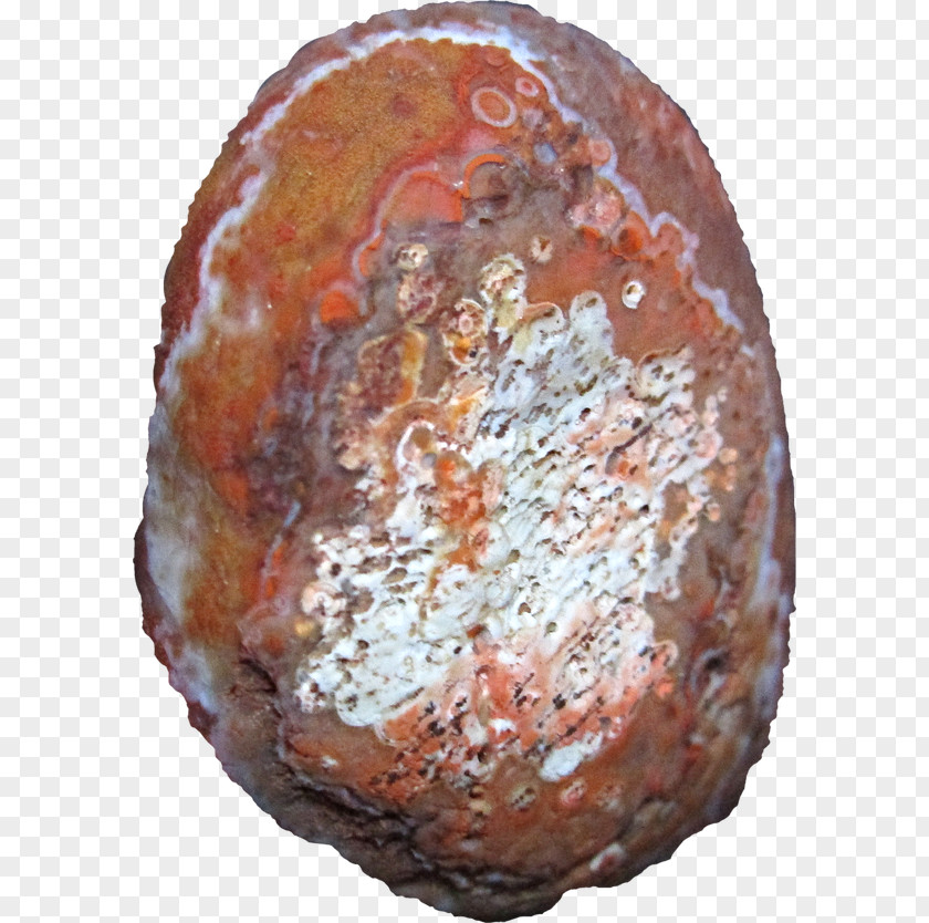 Agate Mineral Abalone PNG