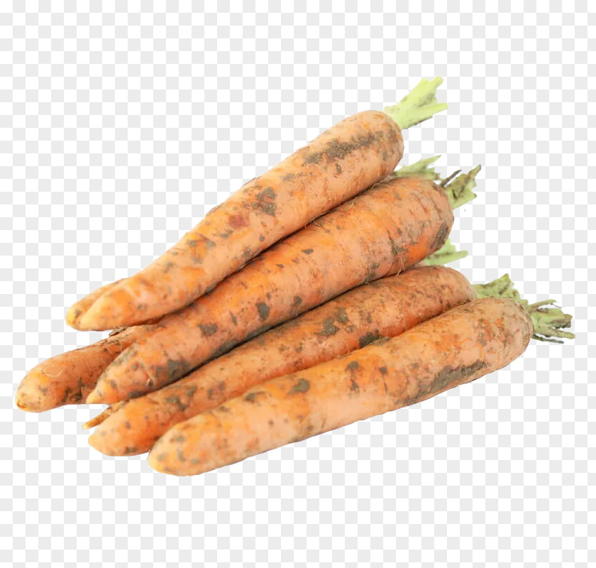 Daini Carrot Bratwurst Vegetable Vienna Sausage PNG