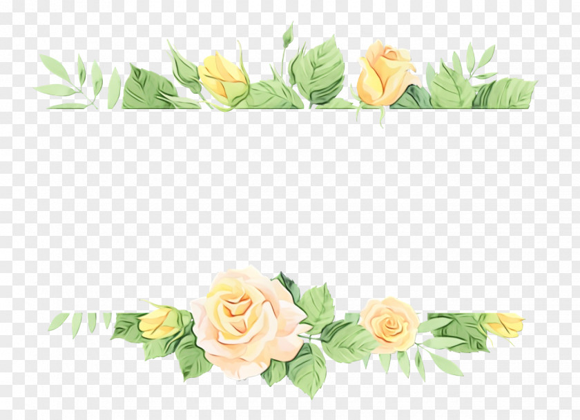 Floral Design PNG