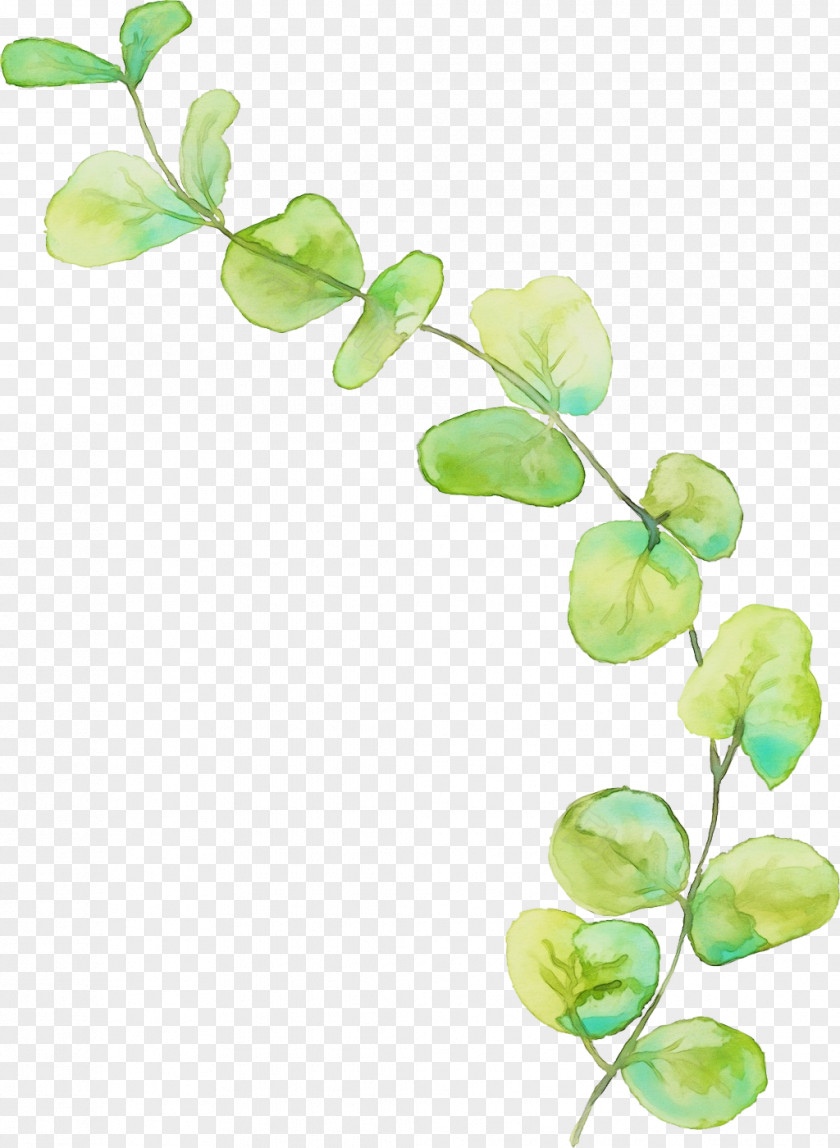 Flowering Plant Twig Watercolor Flower Background PNG