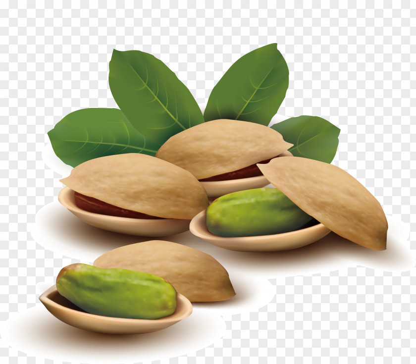 Pregnant Women Food Painting Pistachio Ice Cream Nut PNG