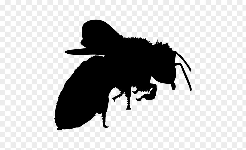 Bee Silhouette Clip Art PNG